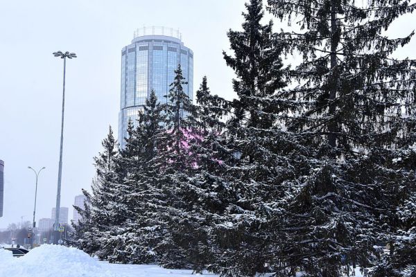 На Среднем Урале станет прохладнее, возможен мокрый снег