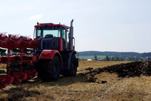 В регионе увеличат площади для посадки картофеля