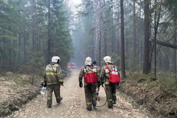 В Свердловской области за сутки потушили 10 природных пожаров
