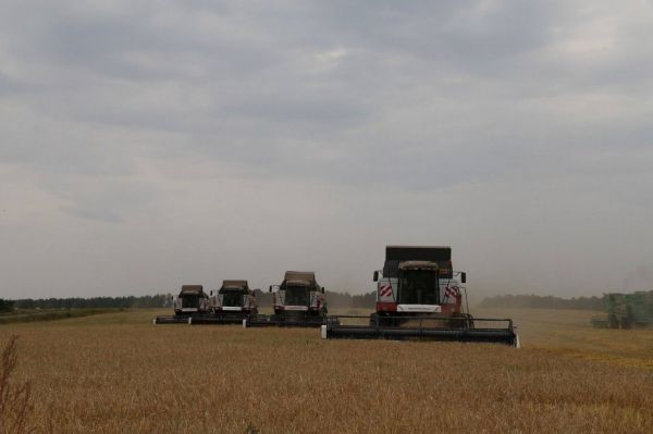 В Свердловской области введут в оборот новые сельхозземли