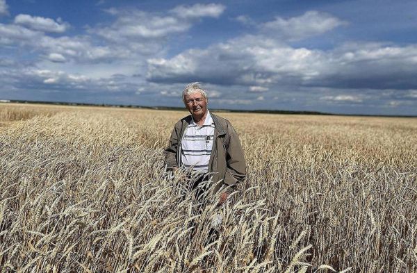 Уральский сорт пшеницы стал лидером российского рейтинга сельхозкультур