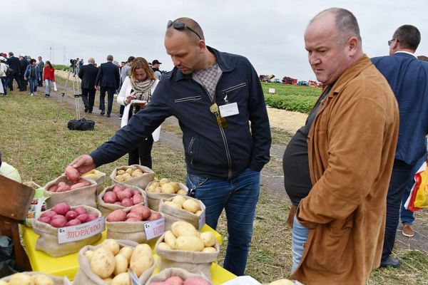 Хватит ли картошки: в Россельхозцентре рассказали о запасах собранного урожая
