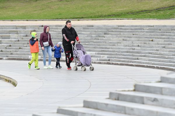 В Госдуме объяснили, как получить новую семейную налоговую выплату