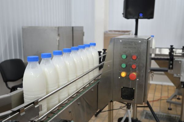 В Кушве на молокозаводе запустили новую линию розлива продукции