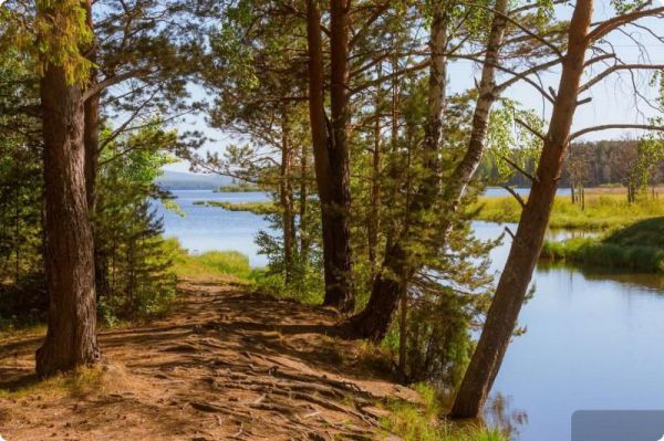 Стало известно, какие водоемы Среднего Урала будут очищать в ближайшие годы