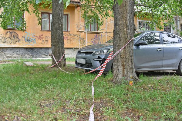 Полиция проверяет инцидент со смертью собаки в закрытом автомобиле