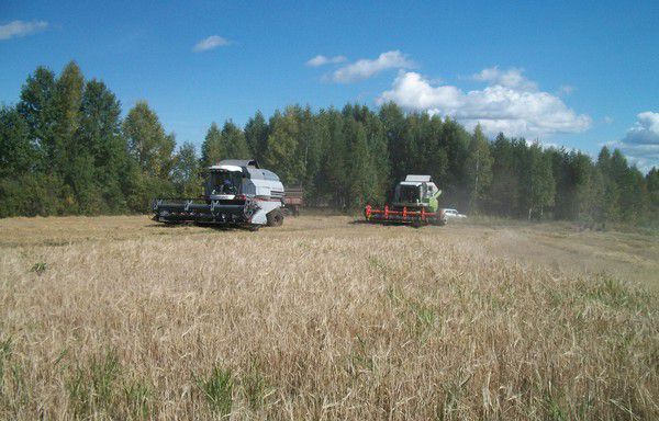В Свердловской области завершен сбор урожая