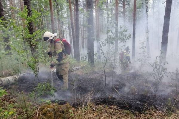 Тушение лесных пожаров и ремонт дорог: о чем сообщали уральцы в социальных сетях