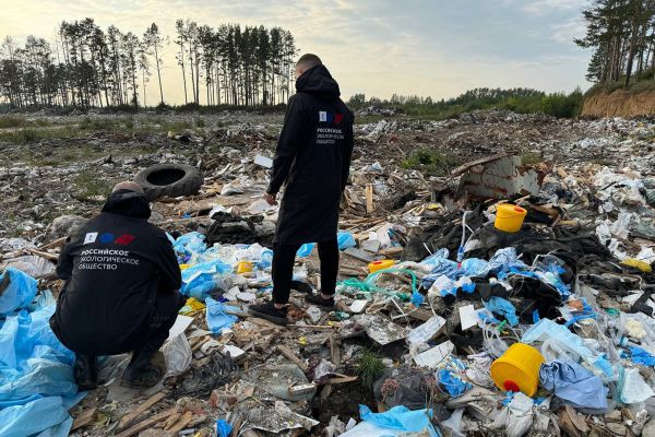 На незаконной свалке в Арамиле обнаружили опасные медицинские отходы