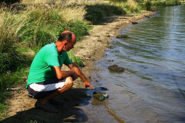 В питьевых водоемах Нижнего Тагила из-за жары протухла вода