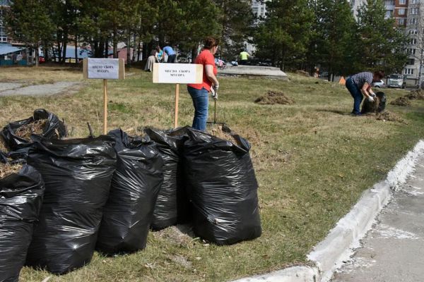 Регоператор попросил заранее делать заявки на вывоз отходов после субботников