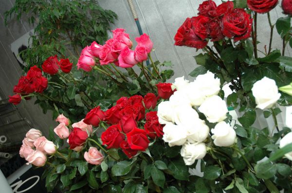 В Каменске парень украл букет роз, чтобы вручить его незнакомке