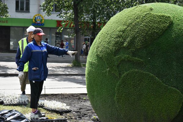 Миллионы цветов: клумбы Екатеринбурга займут больше 23 тысяч квадратных метров