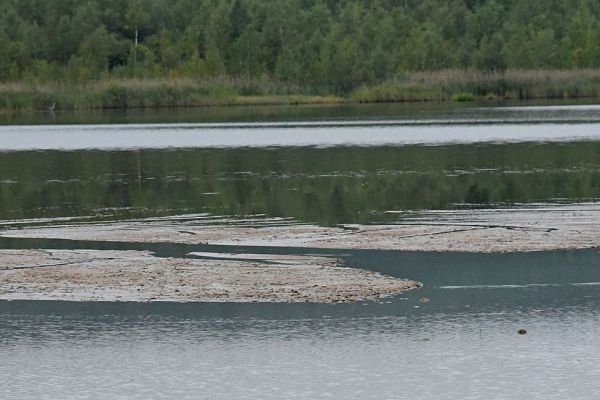 В Екатеринбурге из реки достали труп обнаженной женщины 