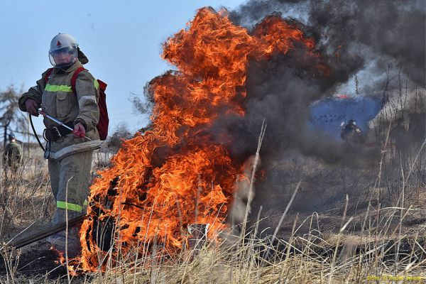 На Среднем Урале значительно увеличилась площадь лесных пожаров