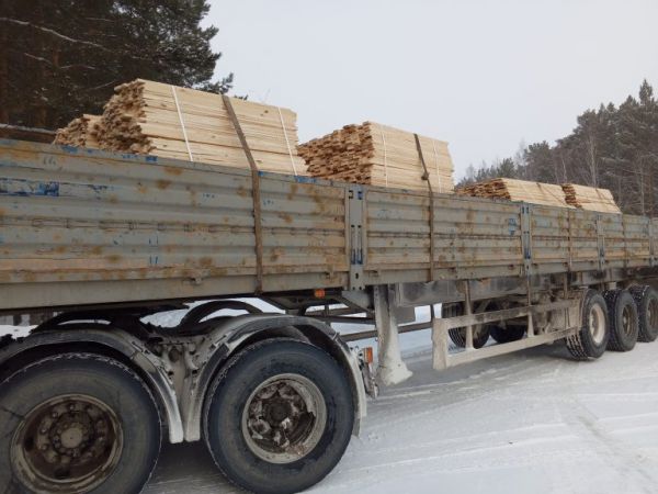 Лес под присмотром. На трассе под Камышловом нашли нарушителей